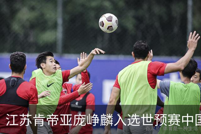 江苏肯帝亚庞峥麟入选世预赛中国男篮大名单